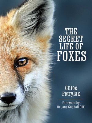cover image of The Secret Life of Foxes